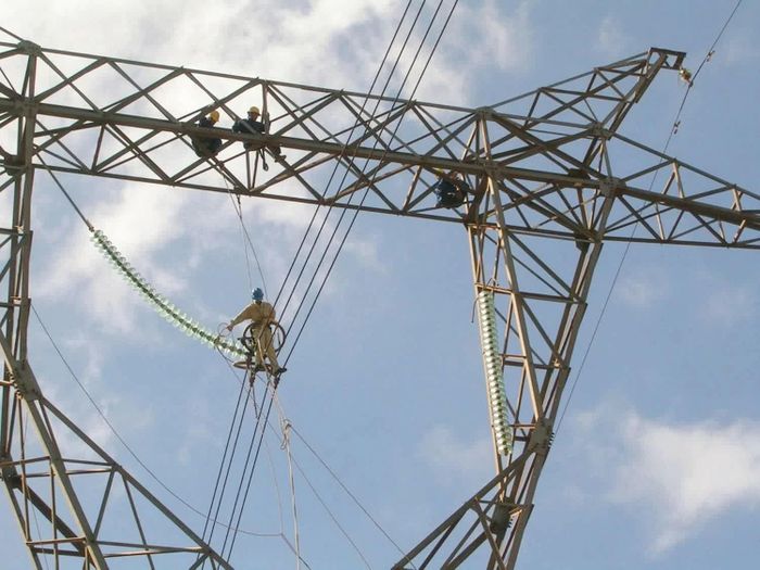 Phó Thủ tướng yêu cầu EVN xây dựng phương án giảm giá điện. Ảnh: Đức Thanh