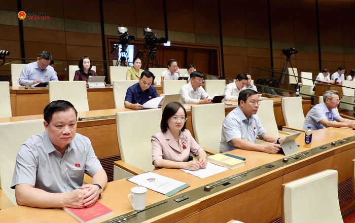 Các ĐBQH dự phiên thảo luận tại Hội trường. Ảnh: Khánh Duy