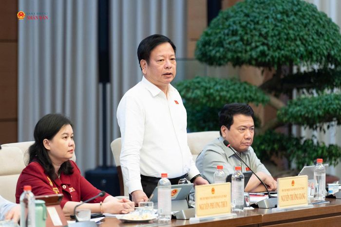 Phó Chủ nhiệm Ủy ban Pháp luật và Tư pháp Nguyễn Trường Giang phát biểu tại phiên họp