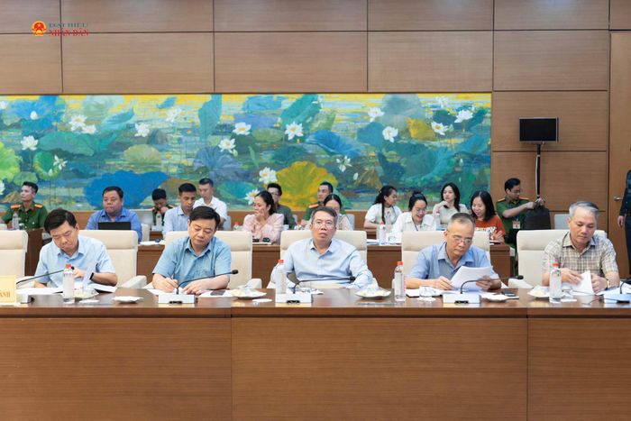 Các đại biểu dự phiên họp