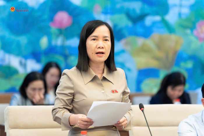 ĐBQH hoạt động chuyên trách tại Ủy ban Pháp luật và Tư pháp Trương Thị Diệu Thúy phát biểu tại phiên họp