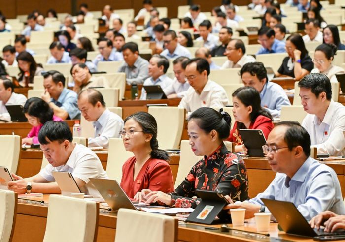 Các đại biểu tham dự phiên họp - Ảnh: Duy Linh