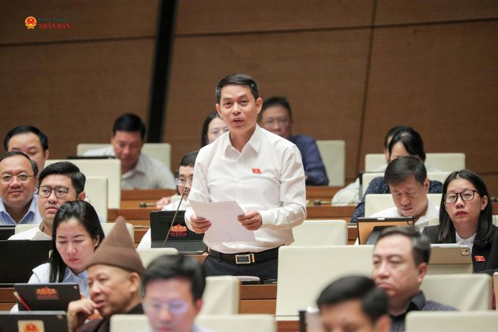ĐBQH Phạm Ngọc Lâm (Gia Lai) phát biểu. Ảnh: Hồ Long
