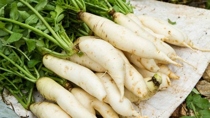 Củ cải trắng cung cấp nước, chất xơ và vitamin C cho cơ thể