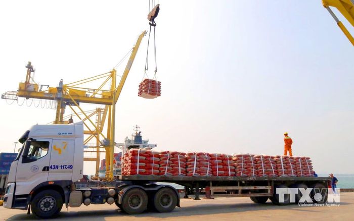 Dịch vụ vận chuyển, bốc xếp hàng hóa tại cảng Tiên Sa (Đà Nẵng). Ảnh: TTXVN