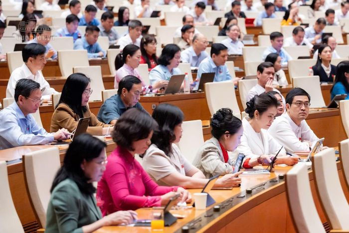 Các đại biểu tại phiên họp.
