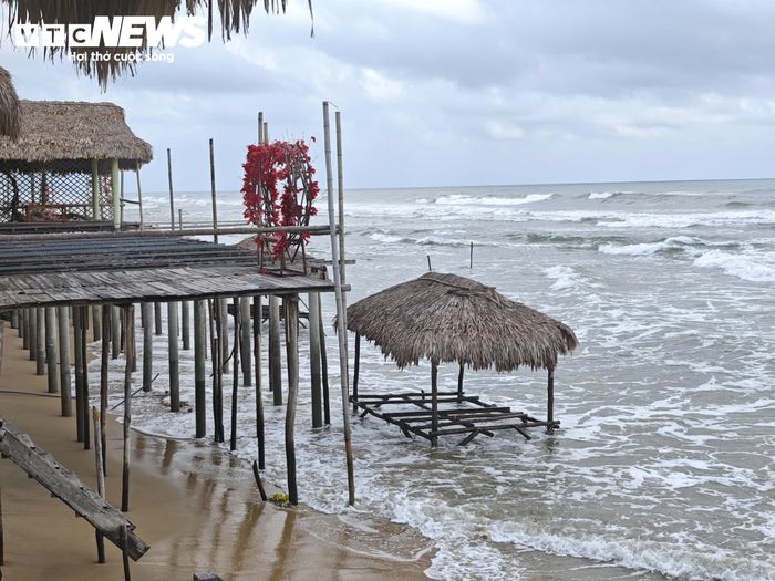 Thế nhưng, nhiều năm qua, các nhà hàng, quán ăn dựng lên san sát đua nhau lấn trái phép ra mép biển.. khiến hình ảnh một trong những hình ảnh vịnh đẹp thế giới bị “bôi bẩn”.