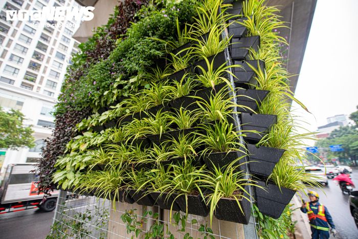 Hệ thống giàn thép tại các trụ đường sắt được lắp đặt bao quanh thân trụ nhưng không khoan, đục trực tiếp vào kết cấu công trình. Giàn được bố trí cách bề mặt bê tông một khoảng phù hợp, vừa tạo điều kiện cho cây sinh trưởng, vừa thuận tiện cho việc kiểm tra, bảo trì trụ cầu.