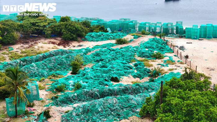 Ghi nhận dọc bờ biển thôn Bình Lập, hàng tấn lưới mùng cũ từ các lồng nuôi tôm hùm bị vứt bỏ khắp nơi, chất thành đống nằm khắp nơi trên bờ biển.