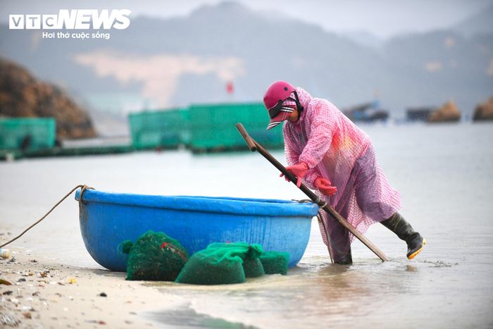 Ông Nguyễn Bình Nam - Phó Chủ tịch UBND xã Nam Cam Ranh cho biết, việc thu gom, xử lý rác thải nhựa phát sinh từ hoạt động nuôi tôm hùm hiện đang là thách thức lớn đối với địa phương.