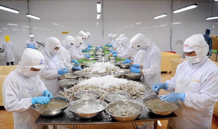 Đẩy mạnh ứng dụng công nghệ hiện đại, phát triển chế biến sâu là hướng đi quan trọng giúp ngành tôm Cà Mau gia tăng giá trị sản phẩm và nâng cao năng lực cạnh tranh trên thị trường xuất khẩu.