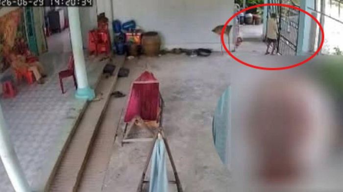 Kết cục đau l&ograve;ng của cụ &ocirc;ng 86 tuổi mất t&iacute;ch nhiều ng&agrave;y ở T&acirc;y Ninh