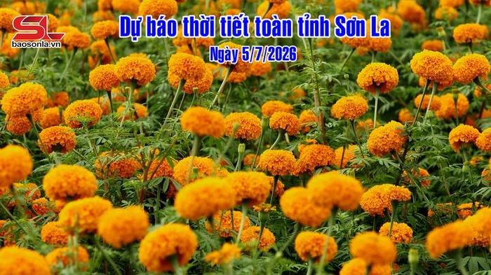 Dự b&aacute;o thời tiết to&agrave;n tỉnh Sơn La ng&agrave;y 5/7/2026