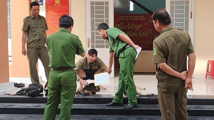Va chạm giao th&ocirc;ng, ph&aacute;t hiện hai đối tượng nghi trộm ch&oacute;