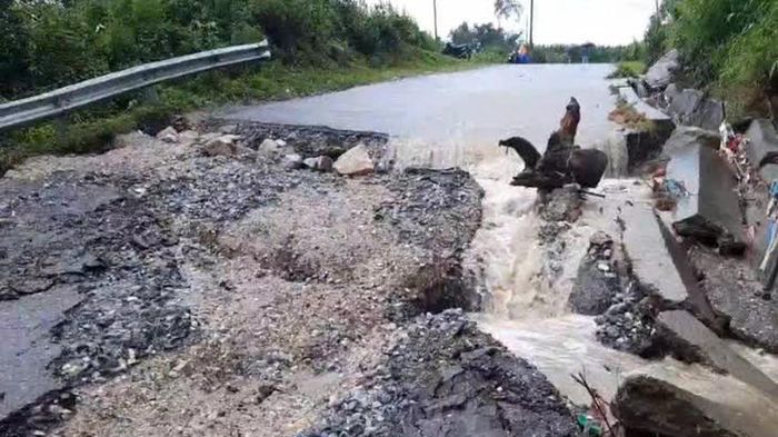 Lai Ch&acirc;u: Mưa lớn g&acirc;y sụt l&uacute;n tỉnh lộ 132, &ocirc; t&ocirc; kh&ocirc;ng thể lưu th&ocirc;ng qua x&atilde; S&igrave; Lở Lầu