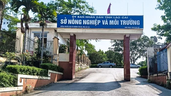Phát hiện cán bộ Sở Nông nghiệp và Môi trường Lào Cai tử vong tại trụ sở