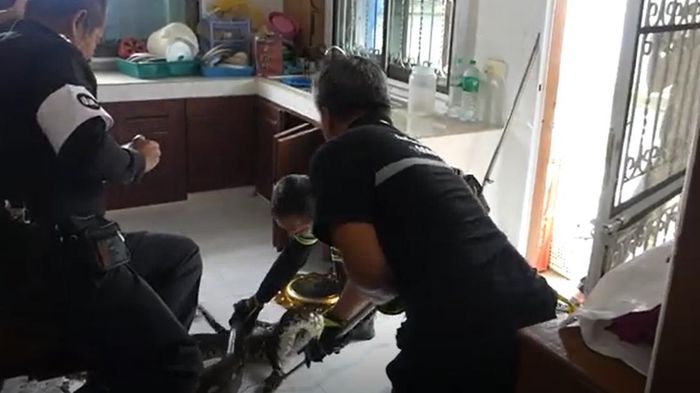 Vào phòng bếp, người phụ nữ bắt gặp cảnh tượng 'lạnh sống lưng' dưới bồn rửa bát