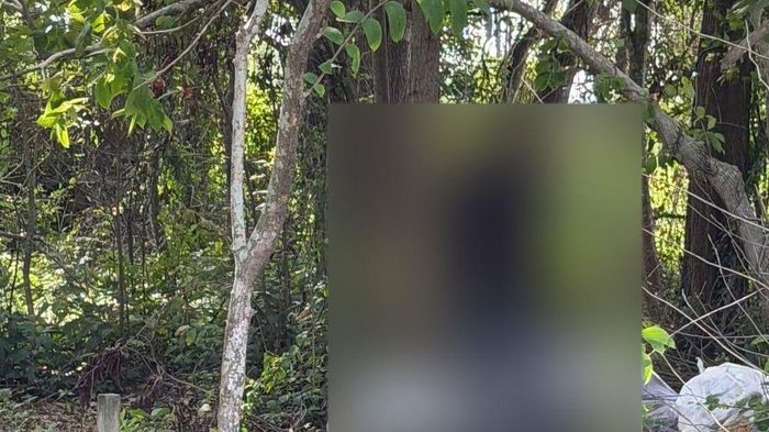 Ph&aacute;t hiện thi thể nam giới cạnh xe m&aacute;y tại rừng liễu ở Đồng Nai, c&ocirc;ng an ph&aacute;t th&ocirc;ng b&aacute;o khẩn