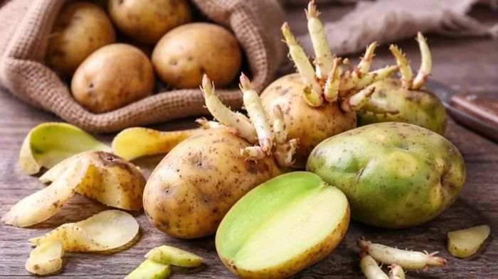 Gia đ&igrave;nh 4 người nhập viện sau b&aacute;t canh khoai t&acirc;y mọc mầm, một người tử vong