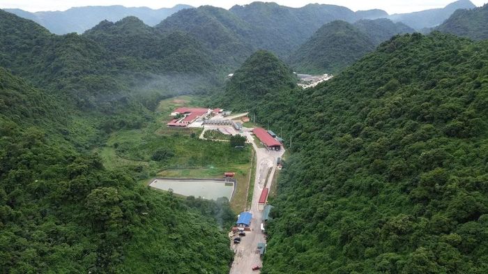 Thanh H&oacute;a: Khởi tố vụ &aacute;n li&ecirc;n quan 5 người tử vong tại trang trại chăn nu&ocirc;i