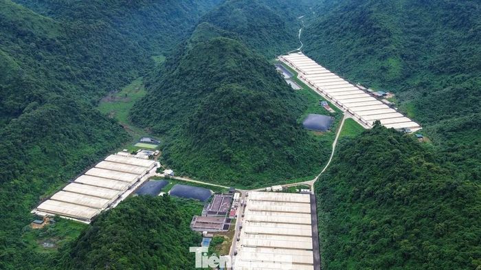 Khởi tố vụ &aacute;n 5 người chết trong trại lợn của C&ocirc;ng ty Dabaco Thanh H&oacute;a
