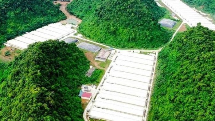 Khởi tố vụ &aacute;n li&ecirc;n quan 5 người tử vong tại trại lợn ở Thanh H&oacute;a