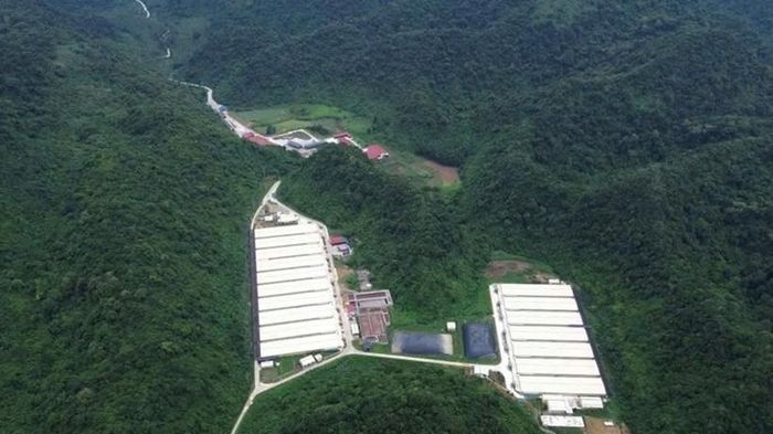 Khởi tố vụ &aacute;n tai nạn tại trại lợn khiến 5 người thiệt mạng