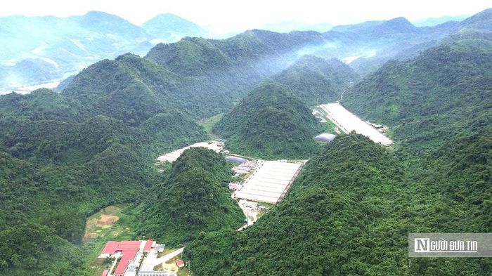 Vụ 5 c&ocirc;ng nh&acirc;n tử vong tại trại lợn Dabaco: Khởi tố vụ &aacute;n để điều tra