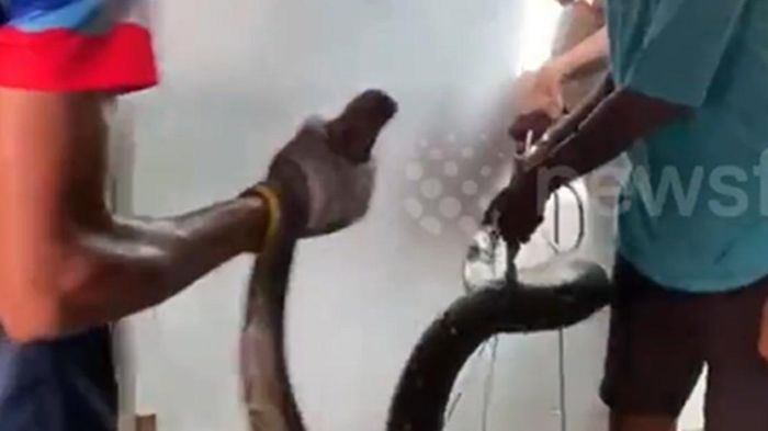 Nửa đêm phát hiện cảnh tượng 'đáng sợ', dân làng ùn ùn kéo đến xem
