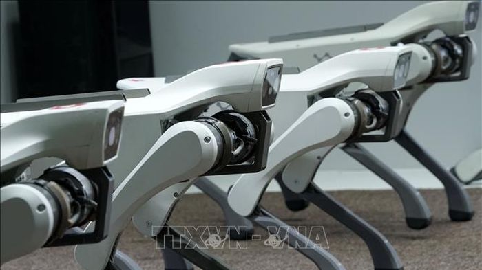 Cách Trung Quốc sử dụng chó robot, AI để bảo đảm an toàn nhà máy điện hạt nhân
