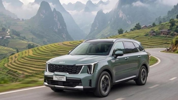 Cập nhật bảng giá xe hãng Kia mới nhất tháng 9/2026
