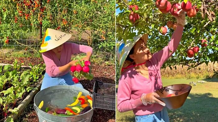 Sang Mỹ định cư, 9X Đà Nẵng làm vườn rau củ Việt để đỡ nhớ quê nhà