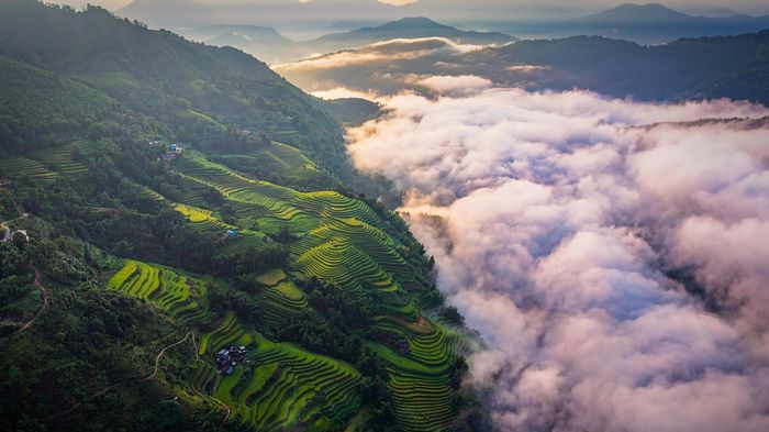 Cảnh gây sửng sốt ở Hoàng Su Phì mùa đẹp nhất năm