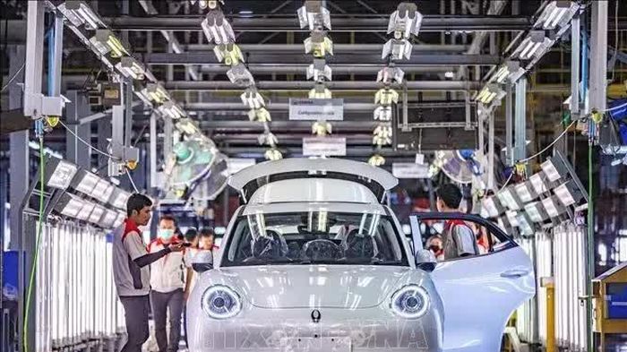 Xe xăng lần đầu rơi xuống dưới 50% doanh số ô tô mới toàn cầu