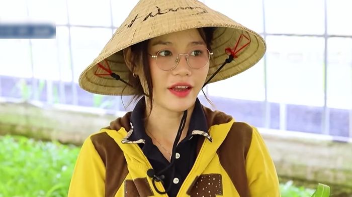 Cô gái Tây Ninh lên tivi Hàn Quốc, trồng rau kiếm 500 triệu đồng/tháng