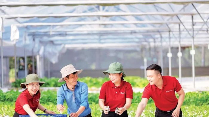 Doanh nghiệp lớn vốn phải dài
