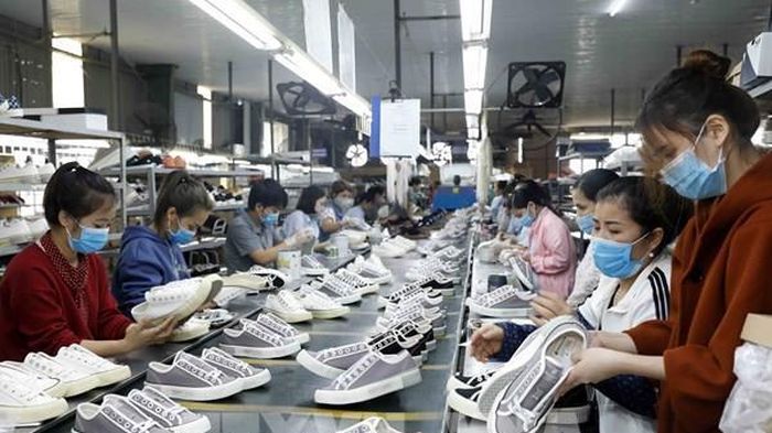 Cầu nối hút đầu tư sản xuất nguyên phụ liệu da giày