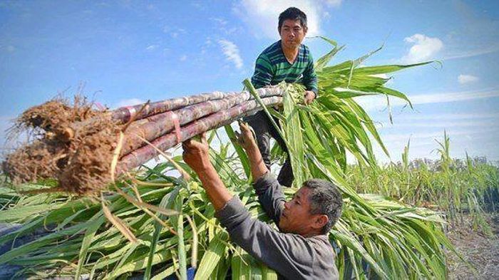 QNS lãi hơn 1.400 tỷ đồng sau 9 tháng, chi phí bán hàng tăng gần 50%